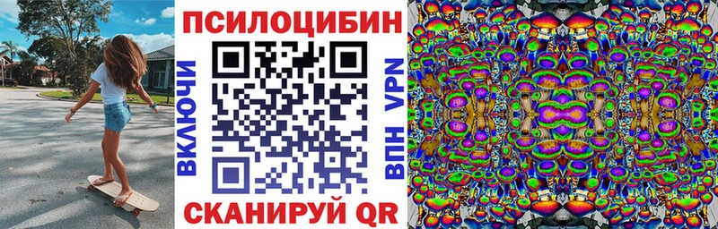 Галлюциногенные грибы Psilocybe  Исилькуль 